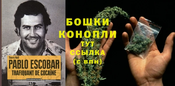 дживик Александровское