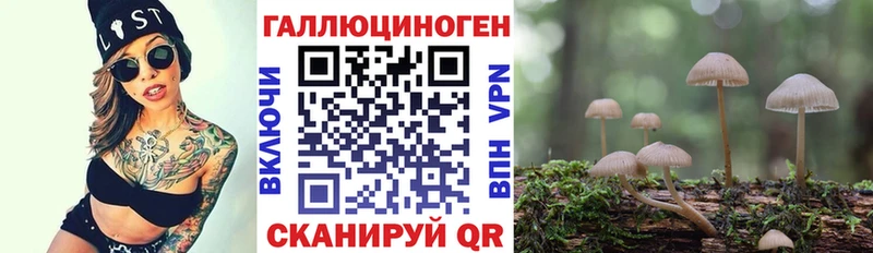 Галлюциногенные грибы MAGIC MUSHROOMS  Армавир 