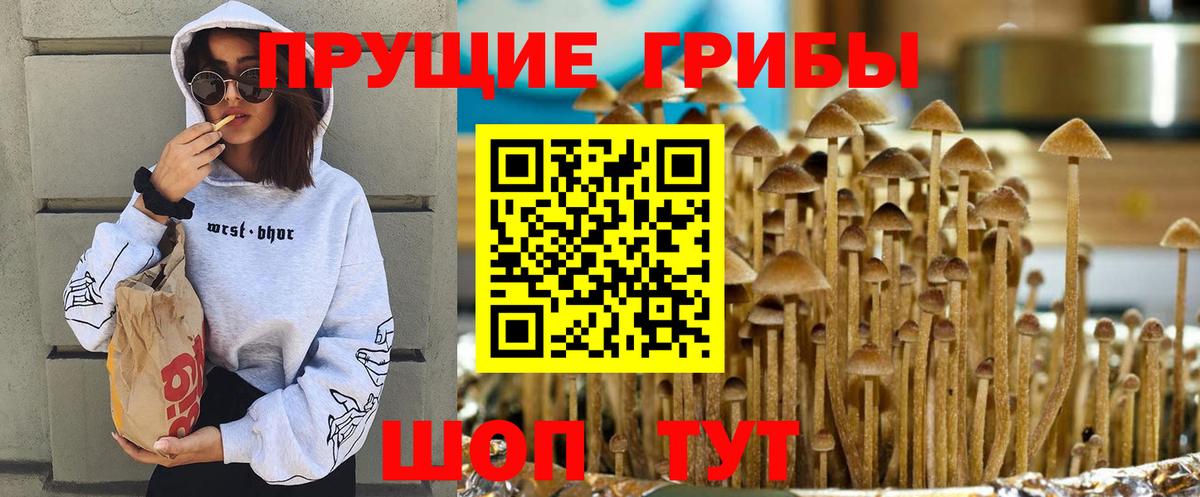 Галлюциногенные грибы прущие грибы Армавир