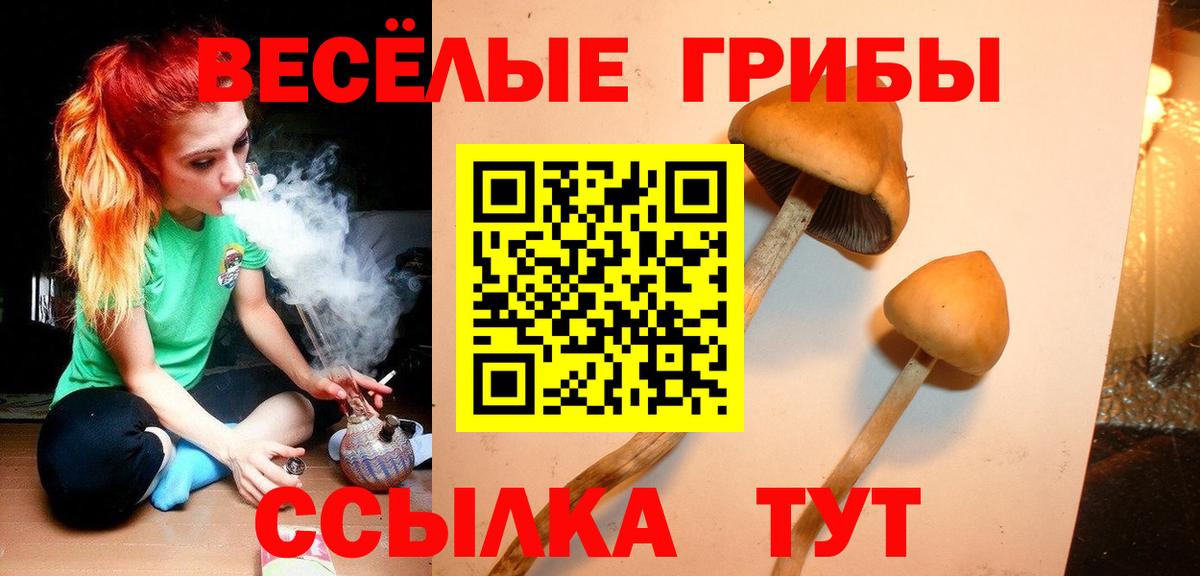 Псилоцибиновые грибы ЛСД  Галлюциногенные грибы мицелий  Вход с VPN  Армавир 